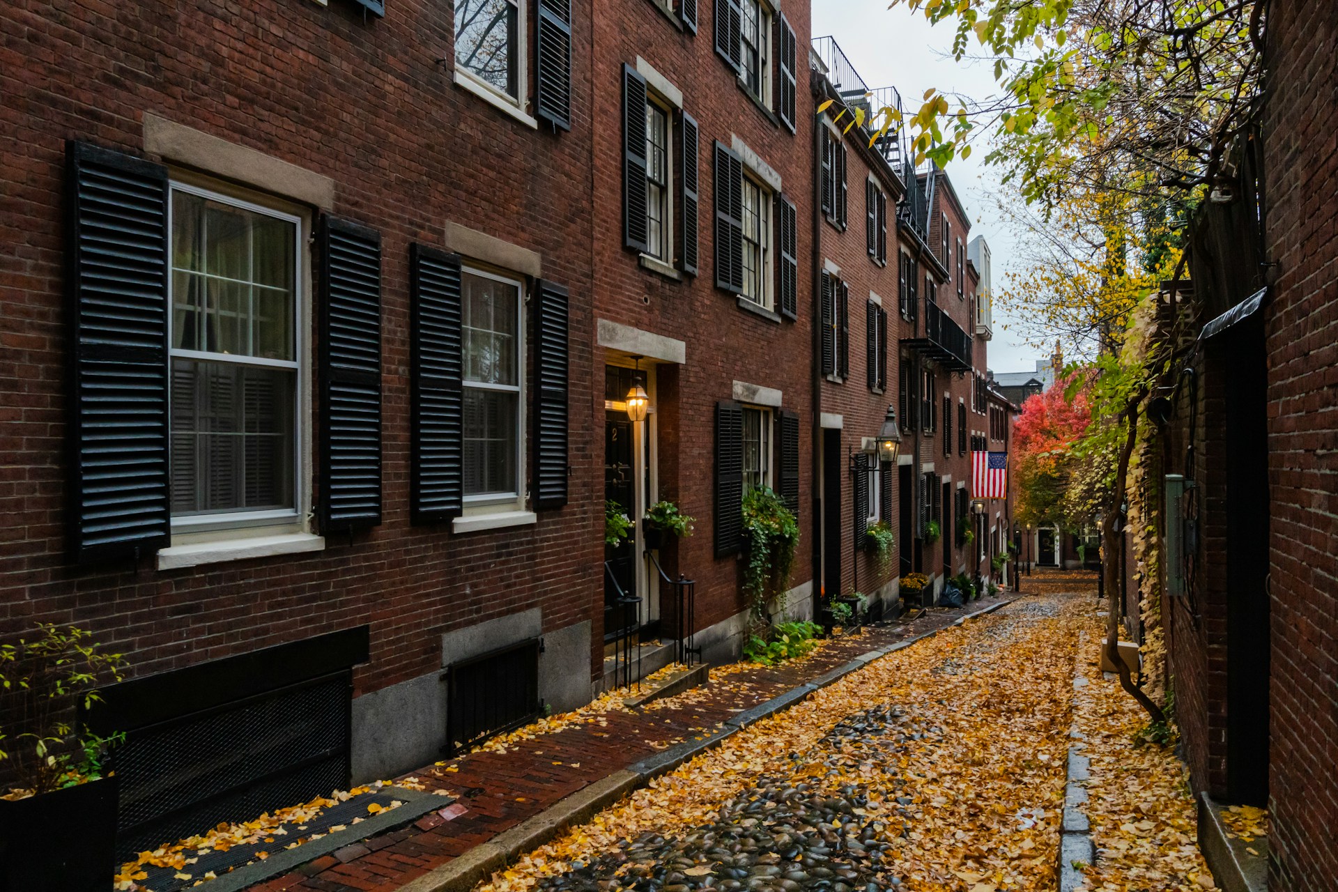 Acorn Street in Boston, MA. Fall leaves on the street. Image by Unsplash.