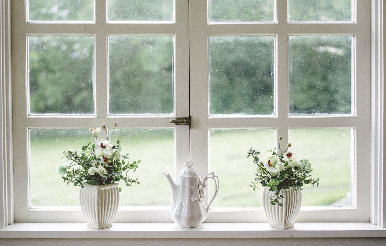 plants displayed in a window