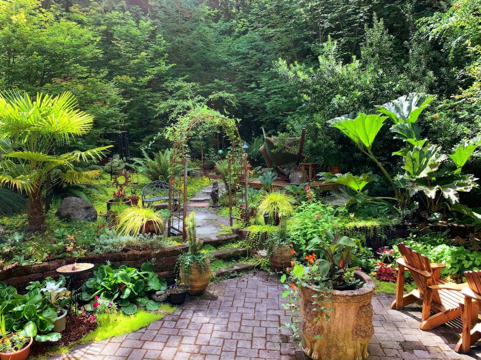 Green plants on a patio, path to woods. Image by Unsplash