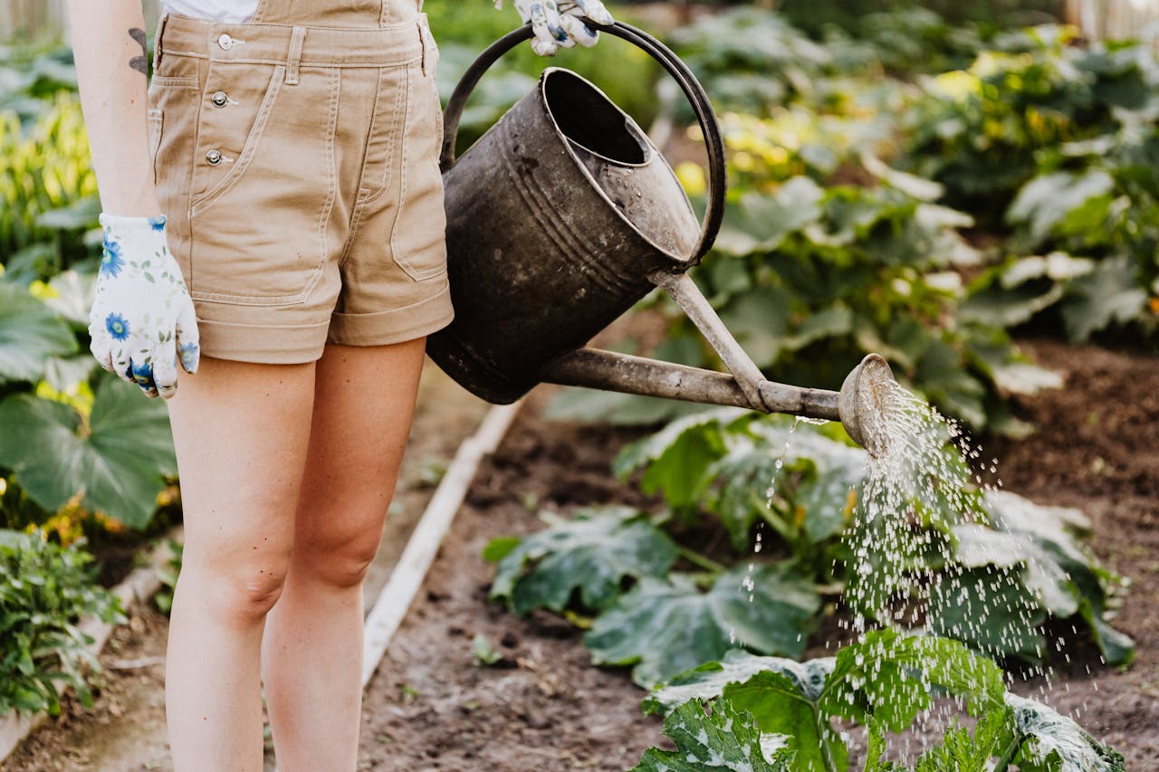 Person with a watering can