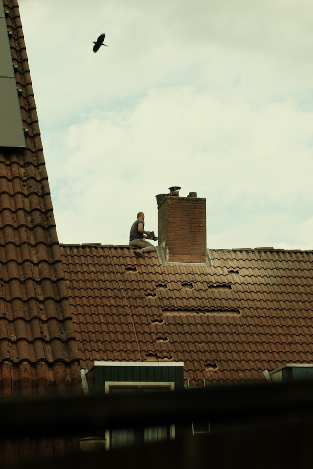 A man on a roof with a bird flying overhead